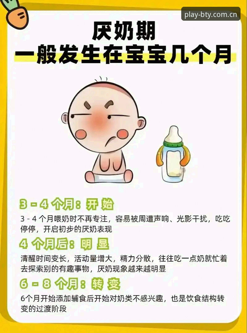 新手必看！b体育平台初次体验安全指南与实战心得